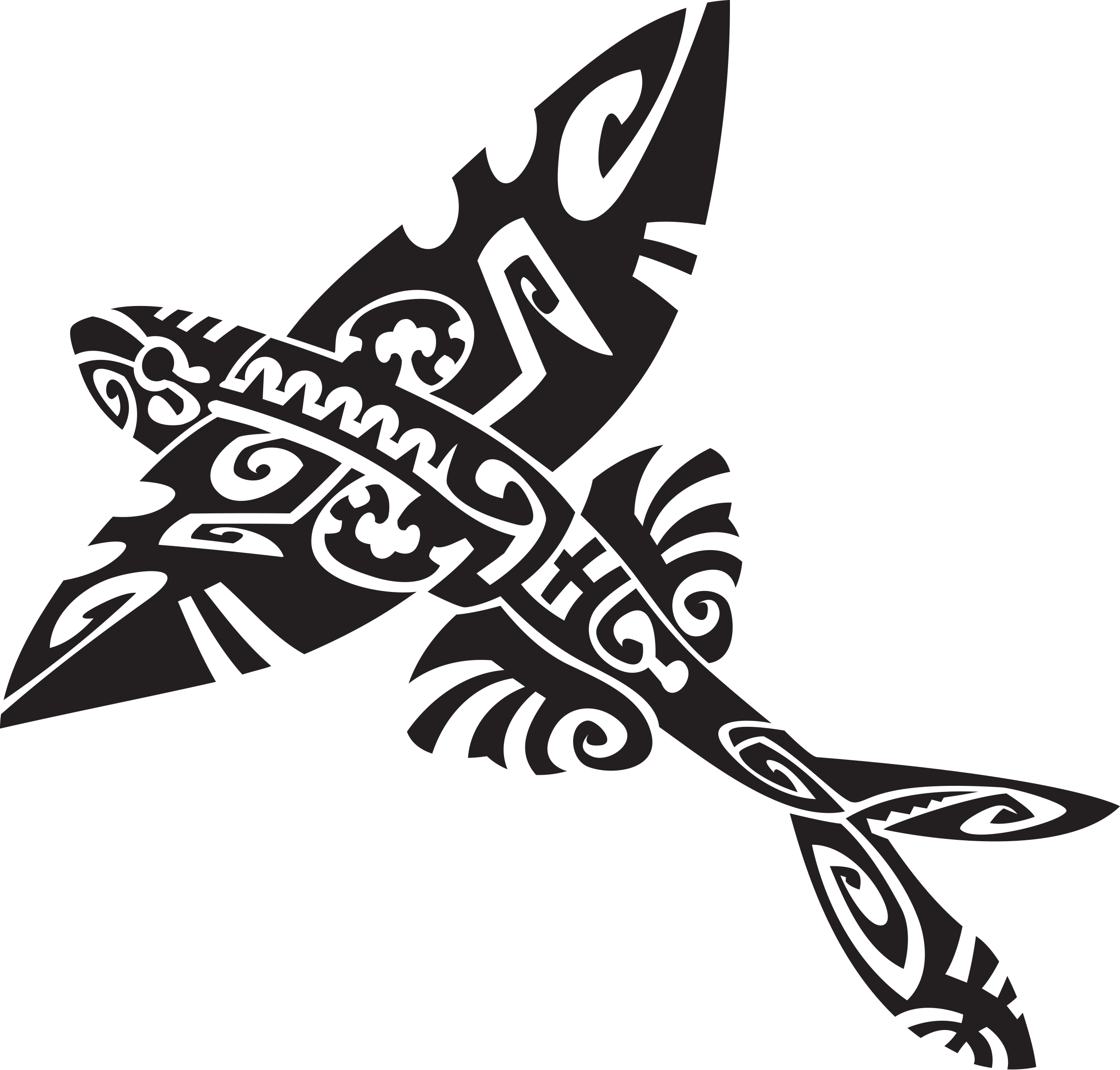 série limitée Tropical Maori 2023 - Image 5