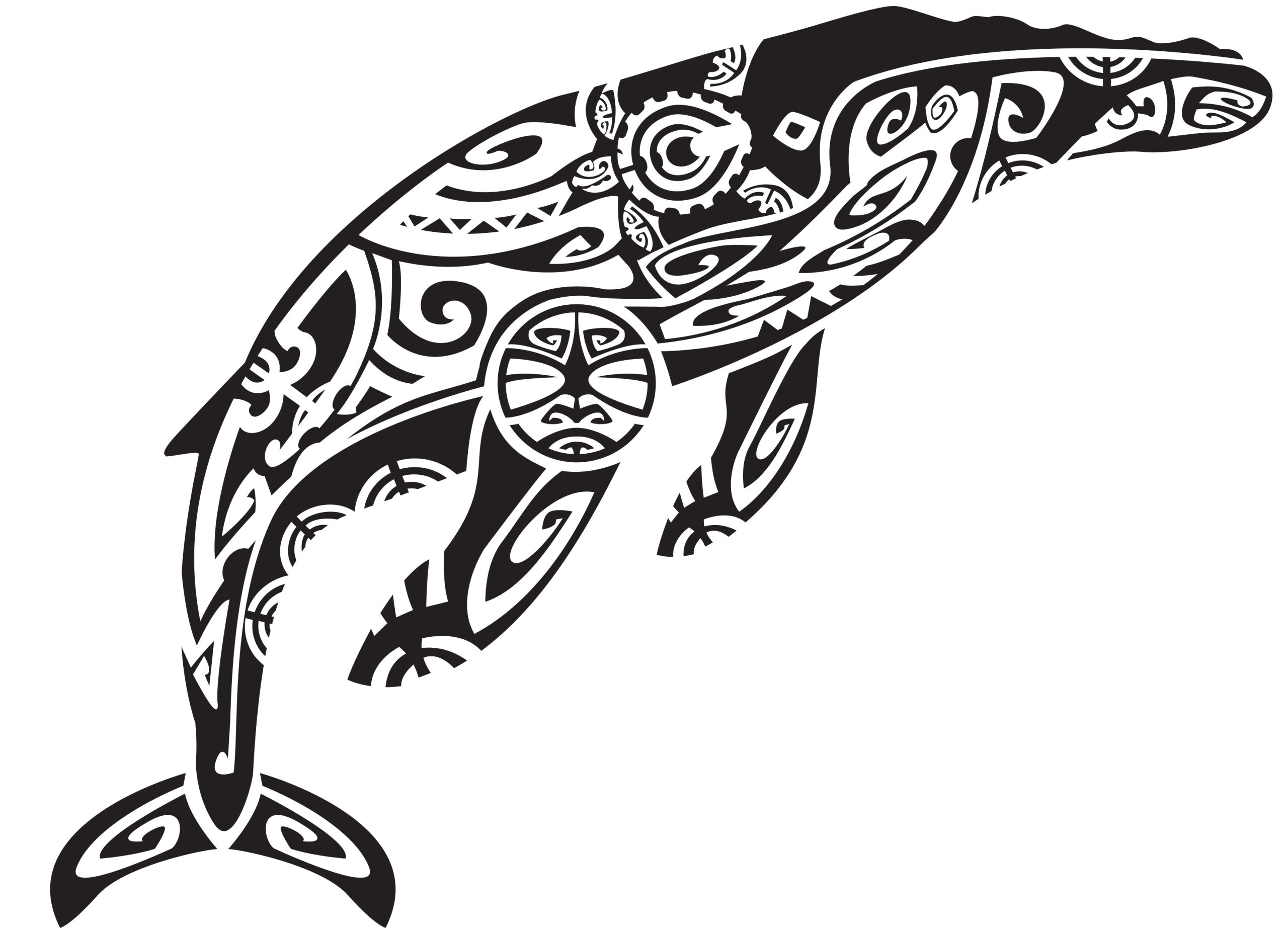 série limitée mammifères marin Maori 2023 - Image 3