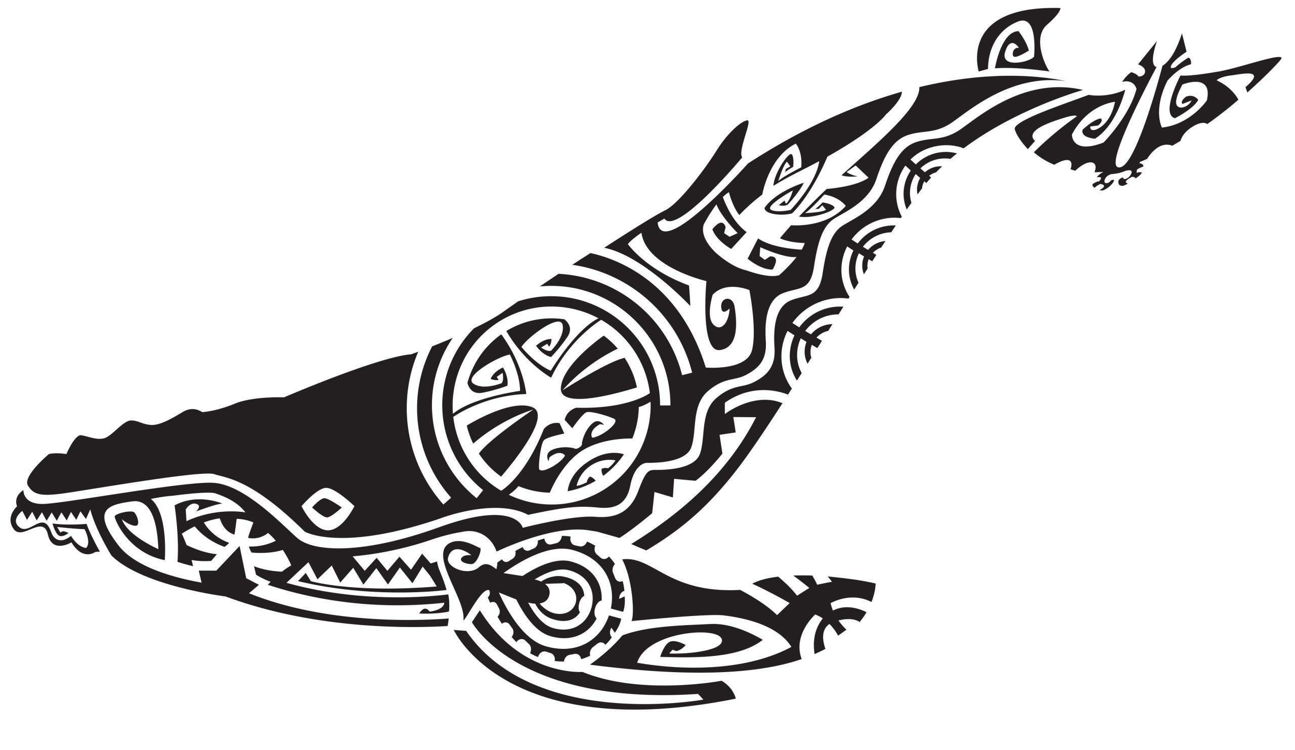 série limitée mammifères marin Maori 2023 - Image 4