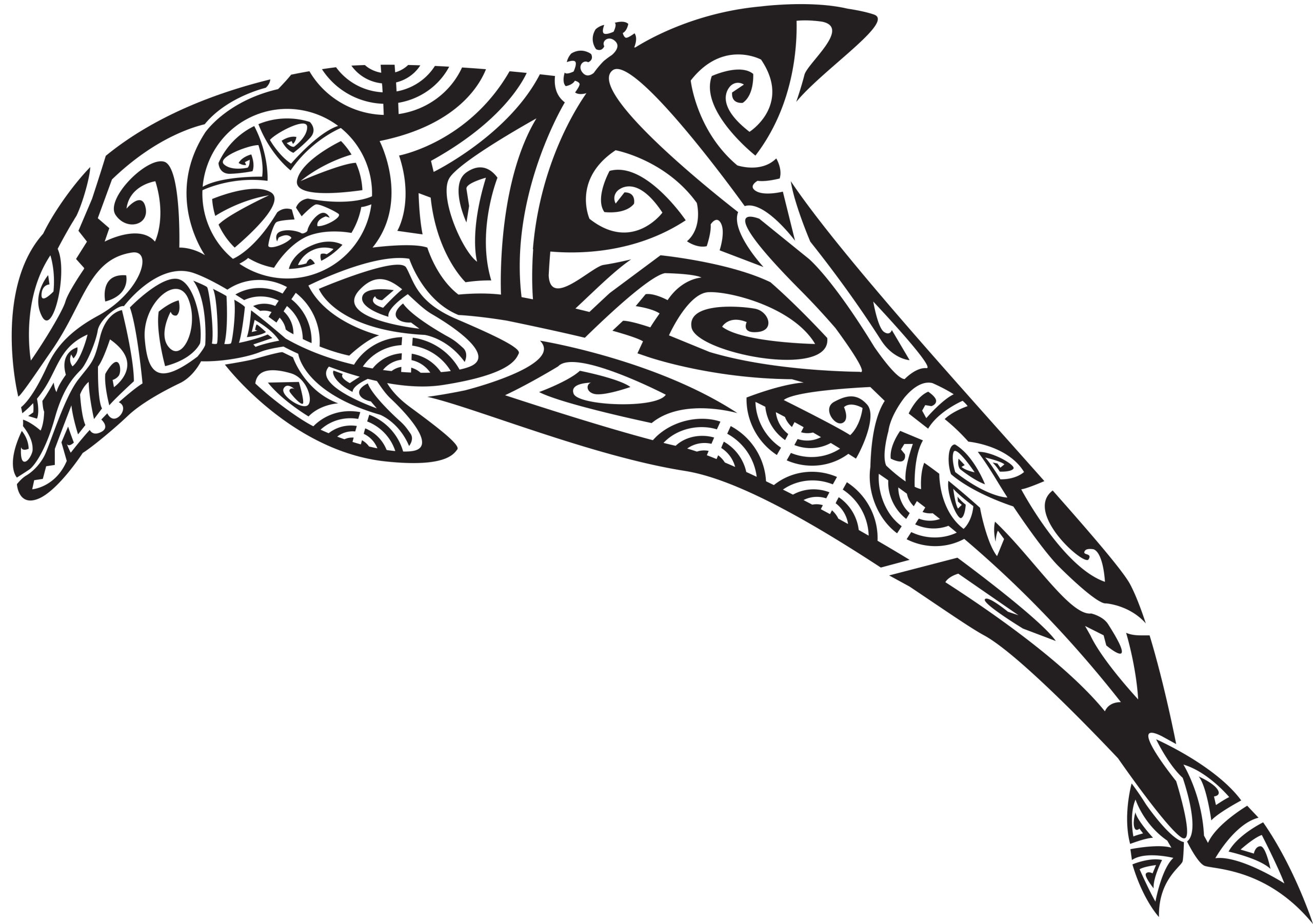 série limitée mammifères marin Maori 2023 - Image 5
