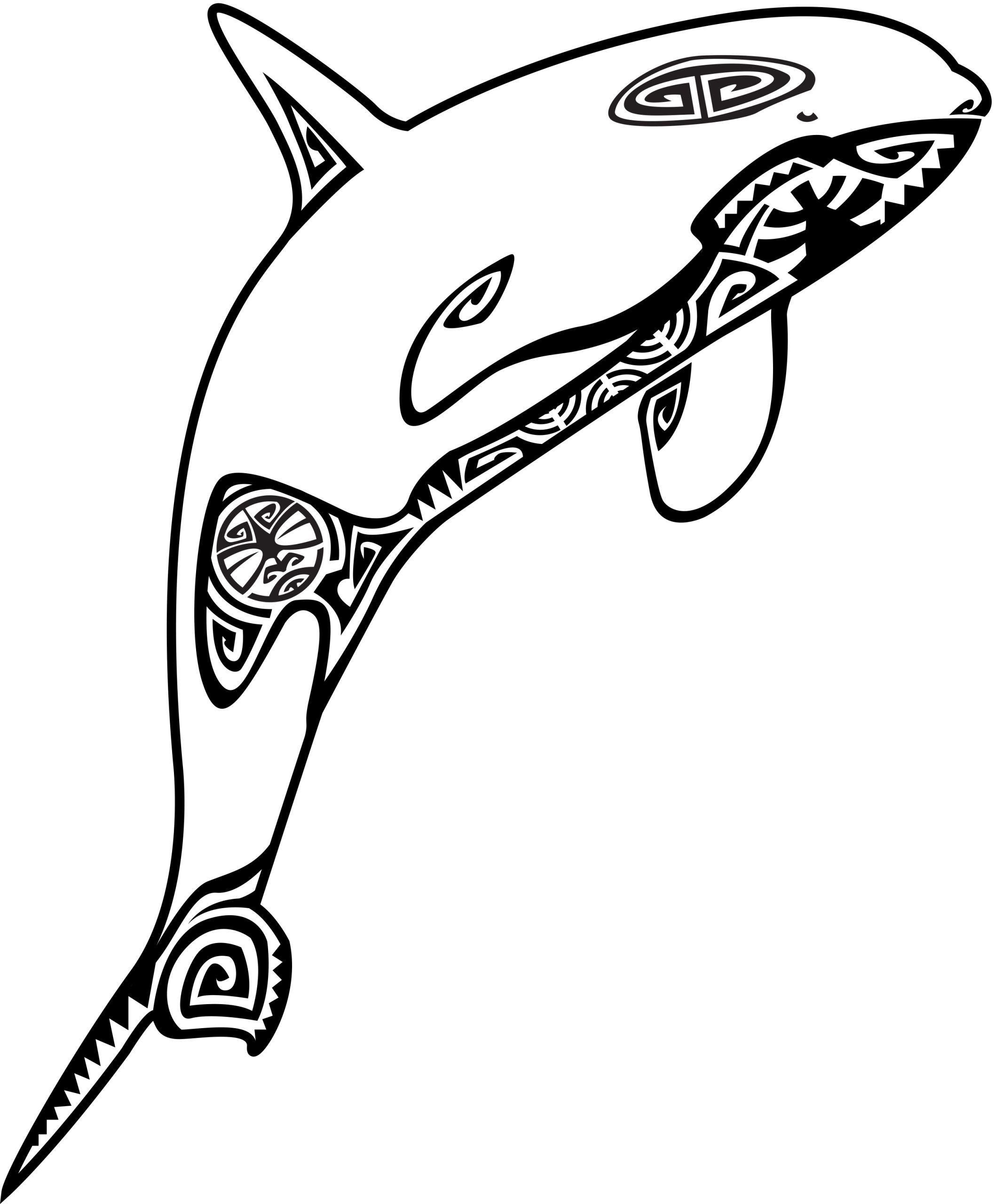 série limitée mammifères marin Maori 2023 - Image 6