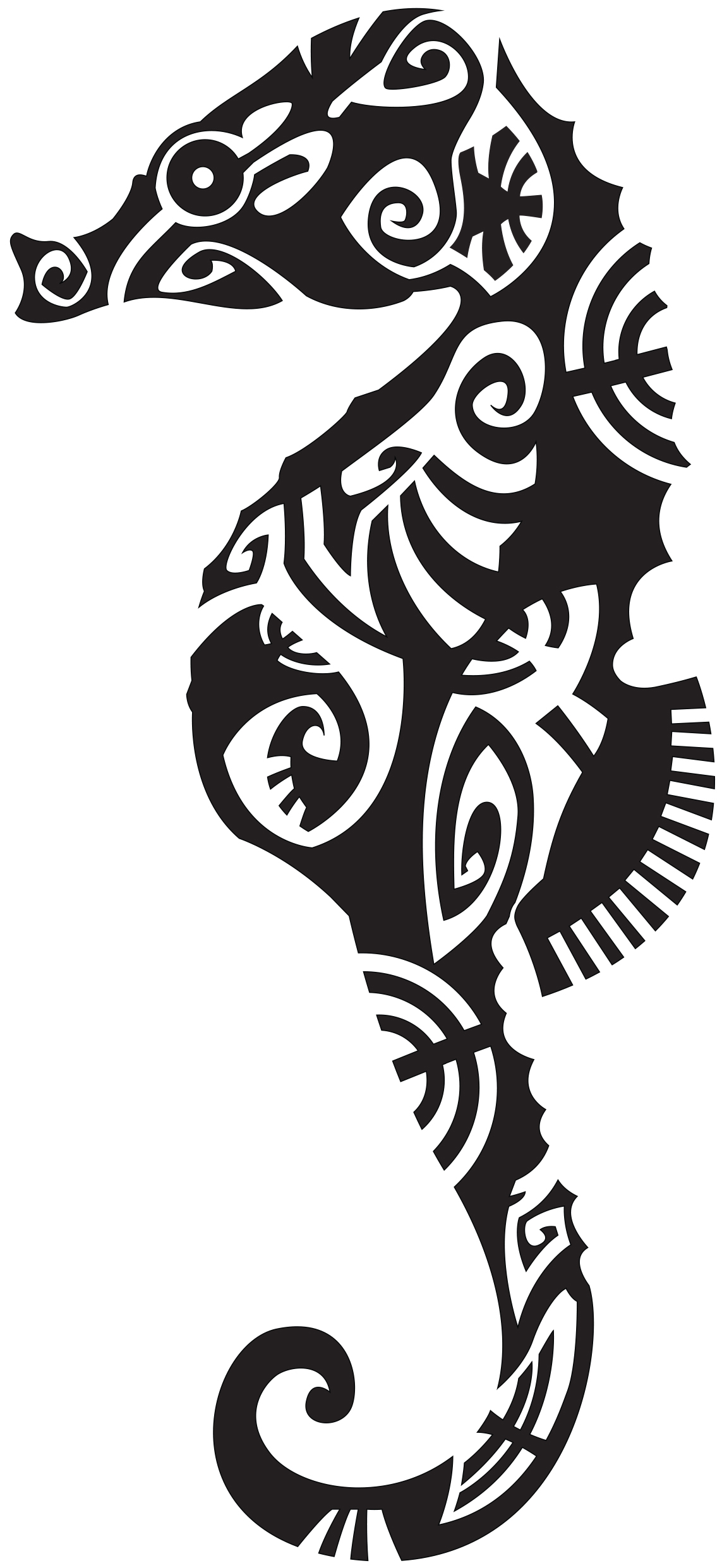série limitée Tropical Maori 2023 - Image 6