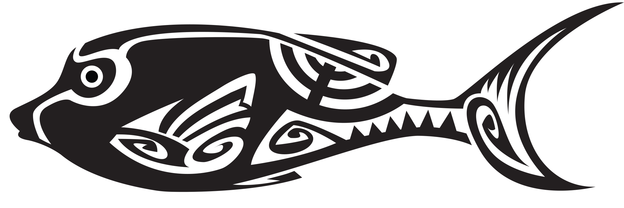série limitée Tropical Maori 2023 - Image 10