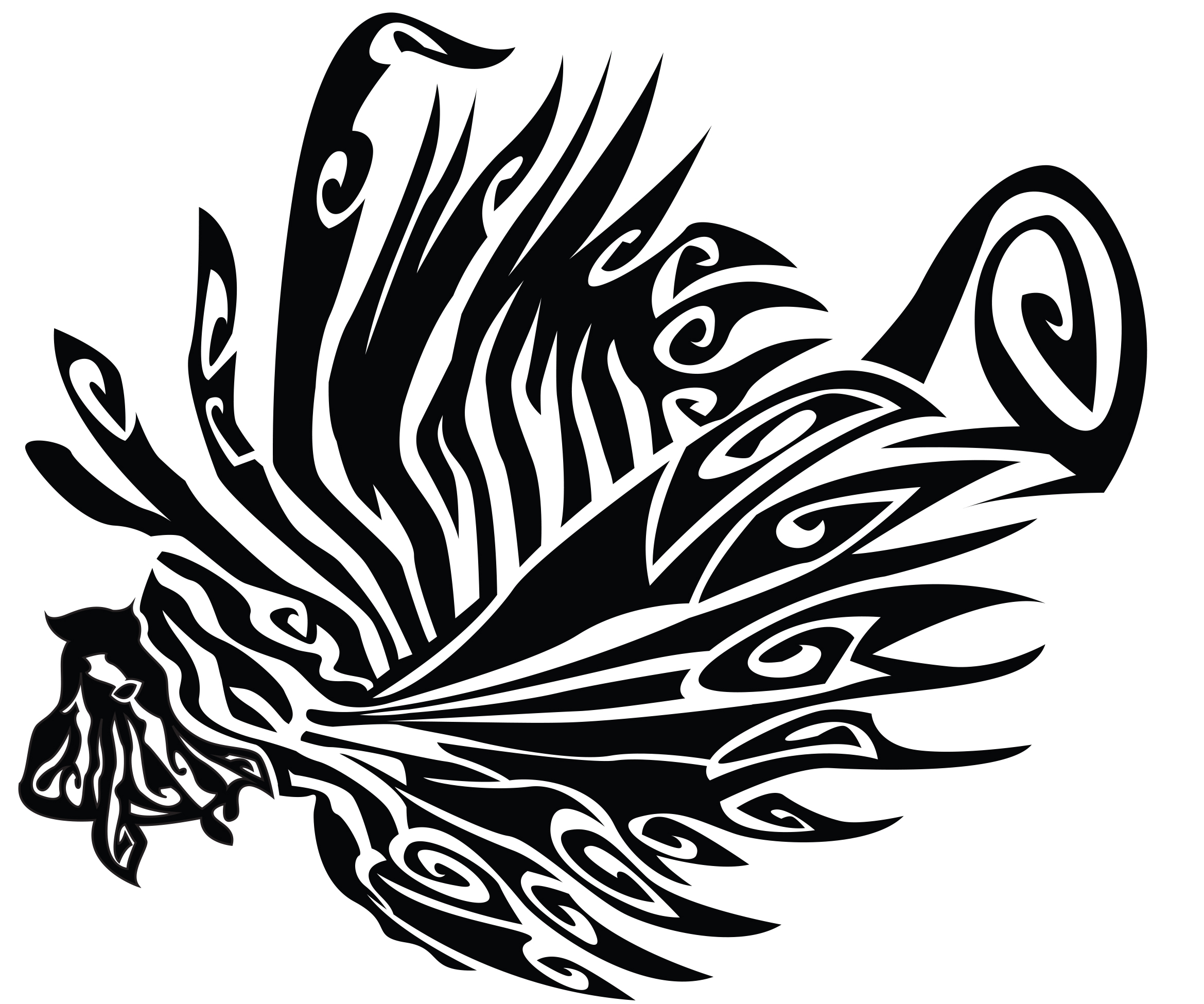 série limitée Tropical Maori 2023 - Image 3