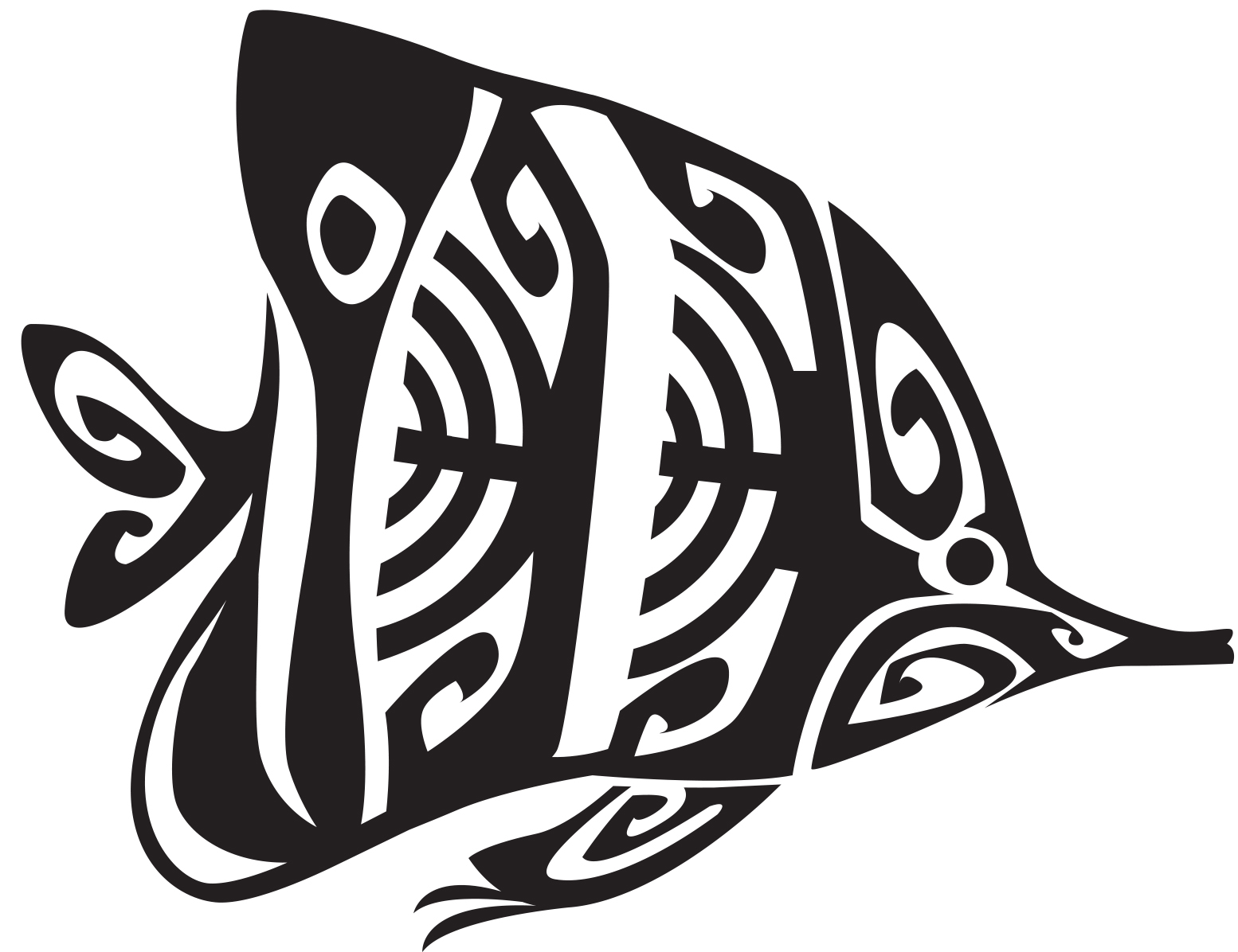 série limitée Tropical Maori 2023 - Image 11