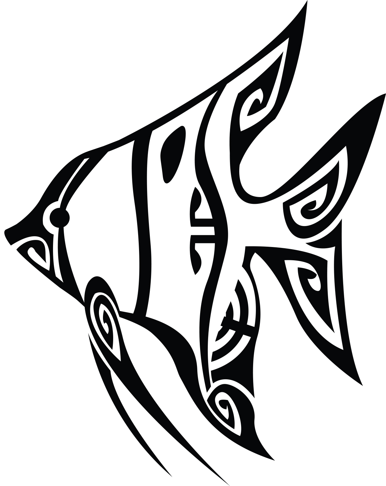 série limitée Tropical Maori 2023 - Image 12